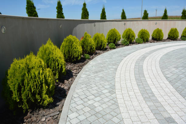 Best Professional Driveway Pavers  in Sebring, FL